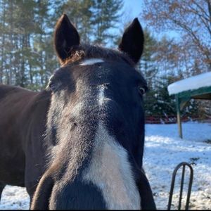 Meet your Posher, Marina